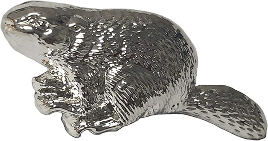 Silver Beaver Award Lapel Pin